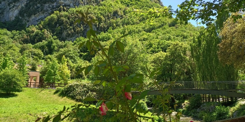 <p>Scopri la Via della Cura in Umbria: un percorso di benessere e consapevolezza</p>
