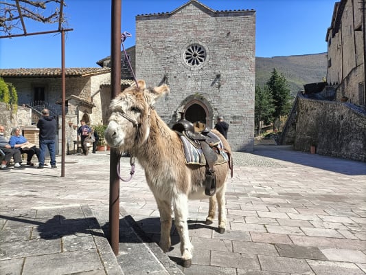 Alla Scoperta di Vallo di Nera dopo Linea Verde: Dove Dormire, Vivere e Cosa Vedere in Valnerina