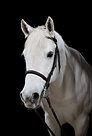 0536F94A-FAE9-400C-A575-D73624658373.png