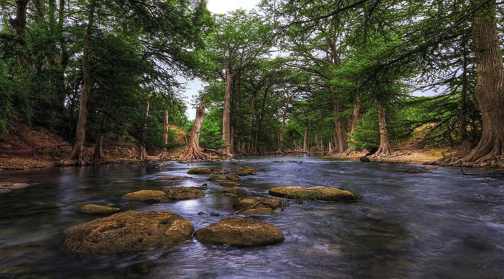 Guadeloupe River, Hill Country Texas