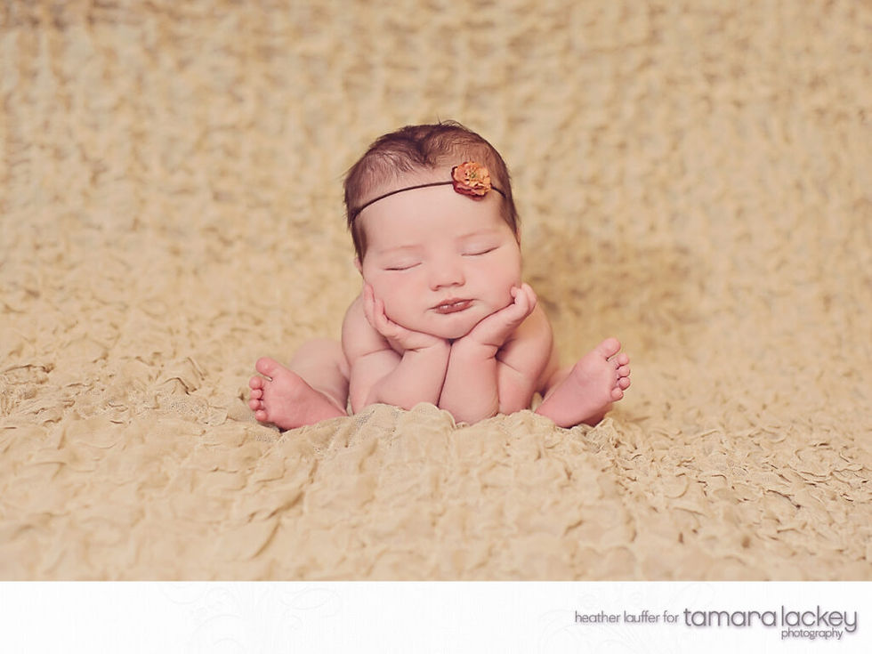 Gracie {Durham, Raleigh, Chapel Hill Newborn}