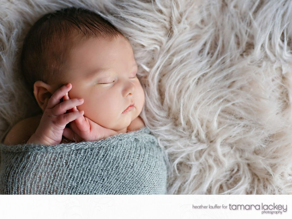 North Carolina Raleigh Durham Chapel Hill Newborn Photographer
