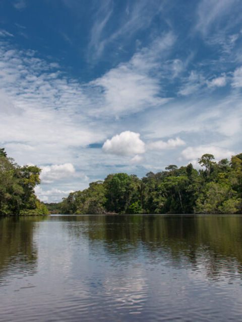 La Selva Lodge in the Amazon Rainforest in Ecuador.
