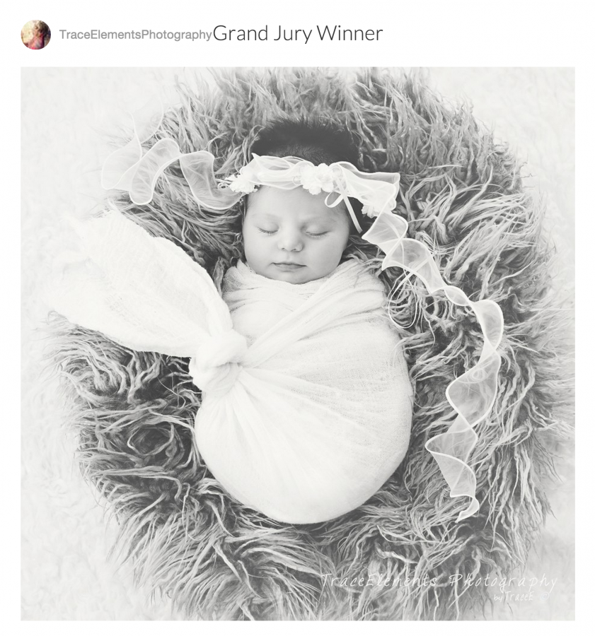Mylio, Photo Contest Winners, Tamara Lackey