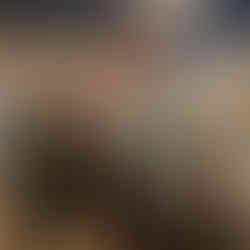 The Bone Breaker - Shihan Peter