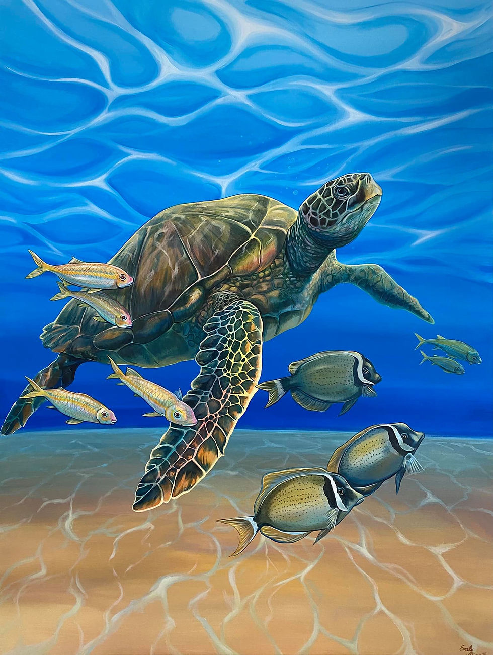 Sea Turtle Swimming with Fish