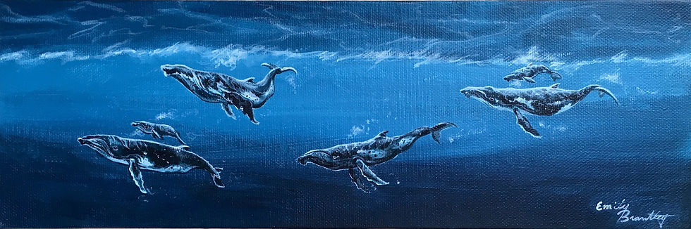 Migration