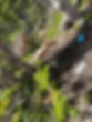 IMG_6370.jpeg