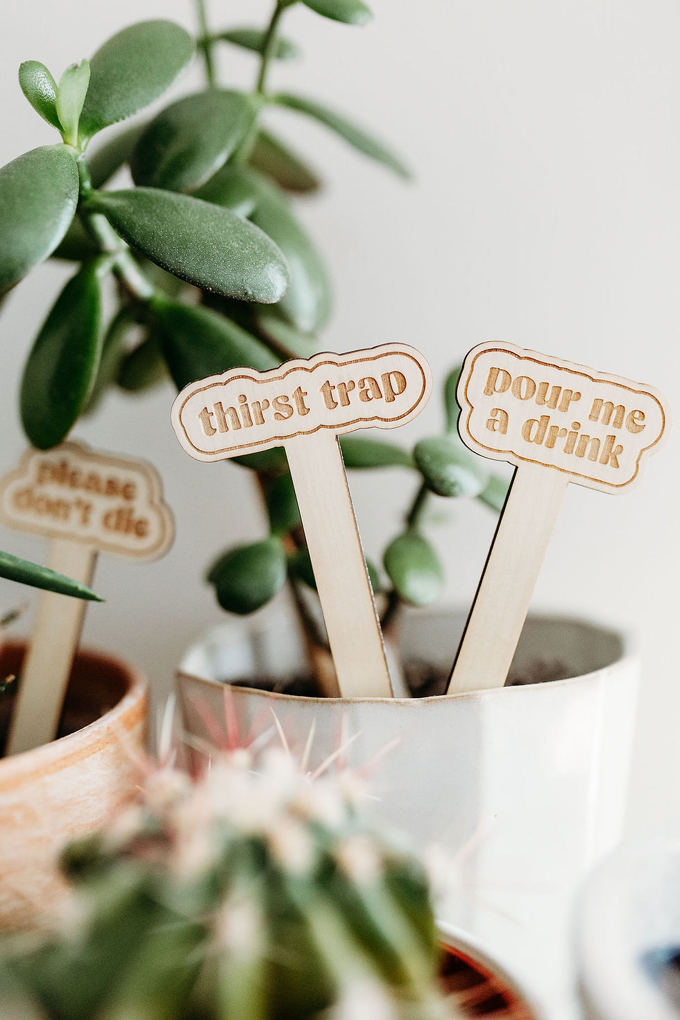 Thumbnail: Funny Plant Lover Stakes