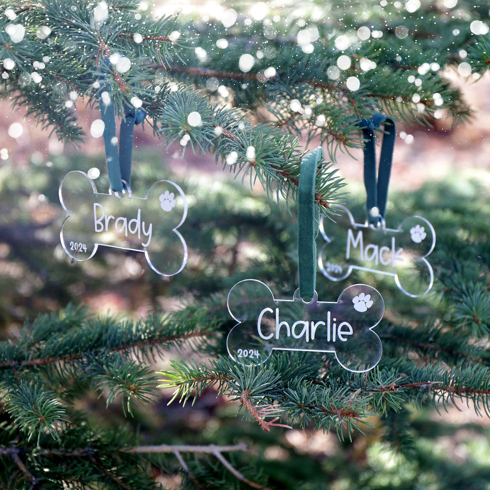 Give Back to the Animals Ornament