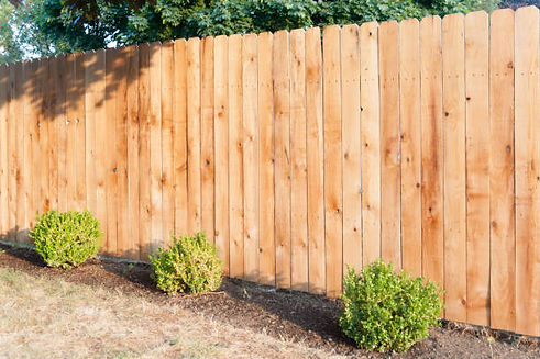 istockphoto-838462394-612x612.jpg