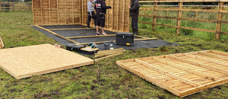 Ponies Have a Shelter!