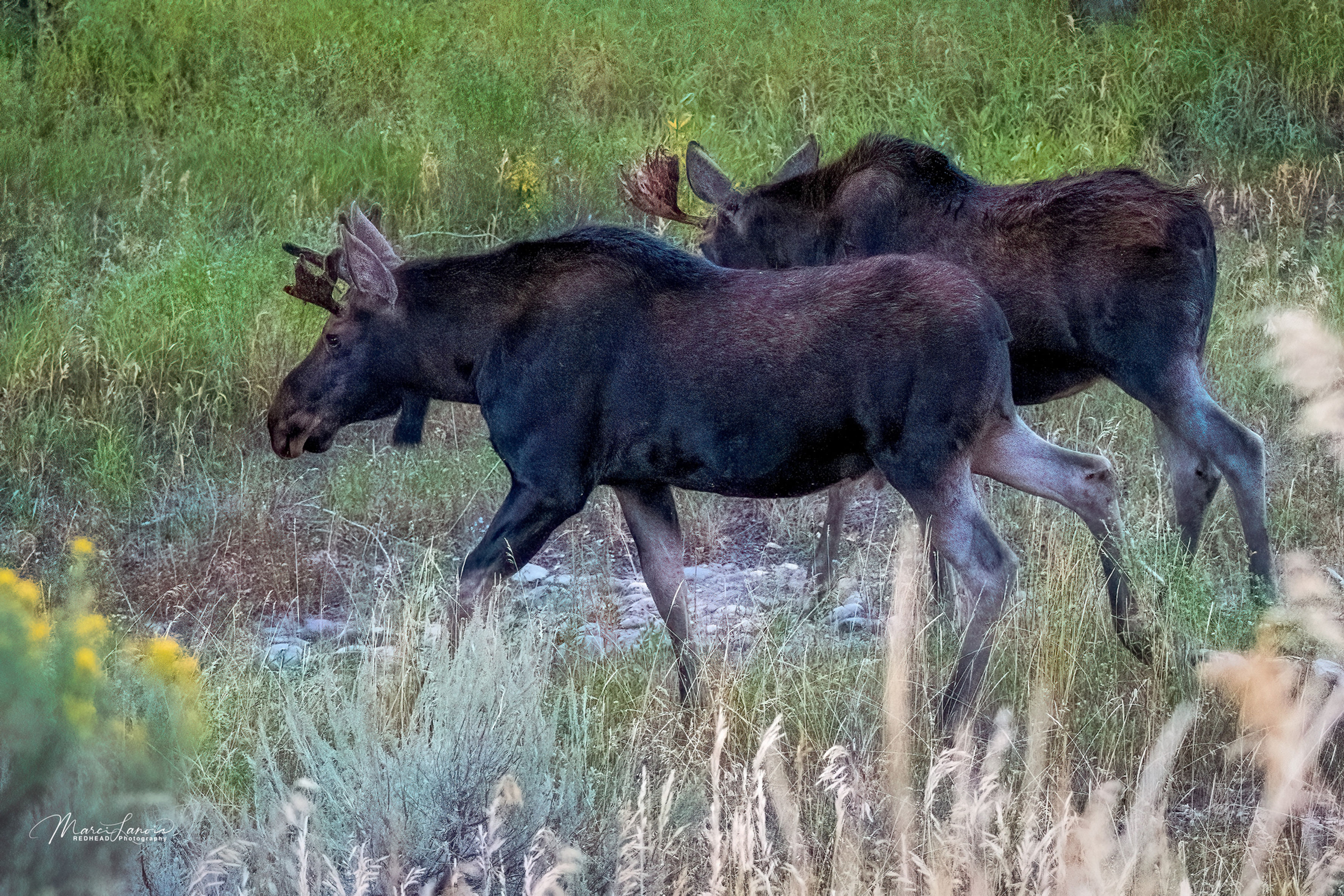 #5144 Two Young Boys