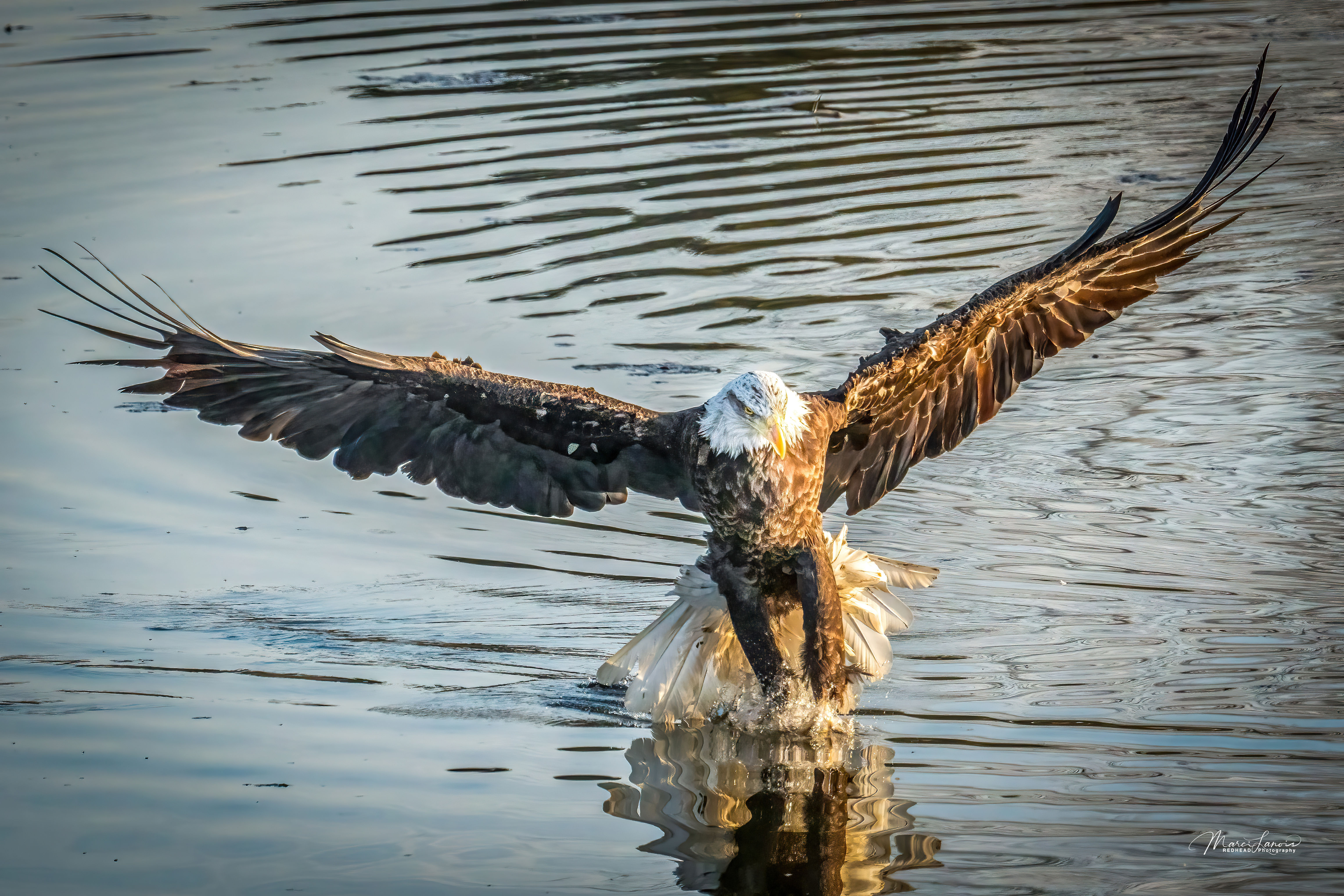 #5886 Walking on Water