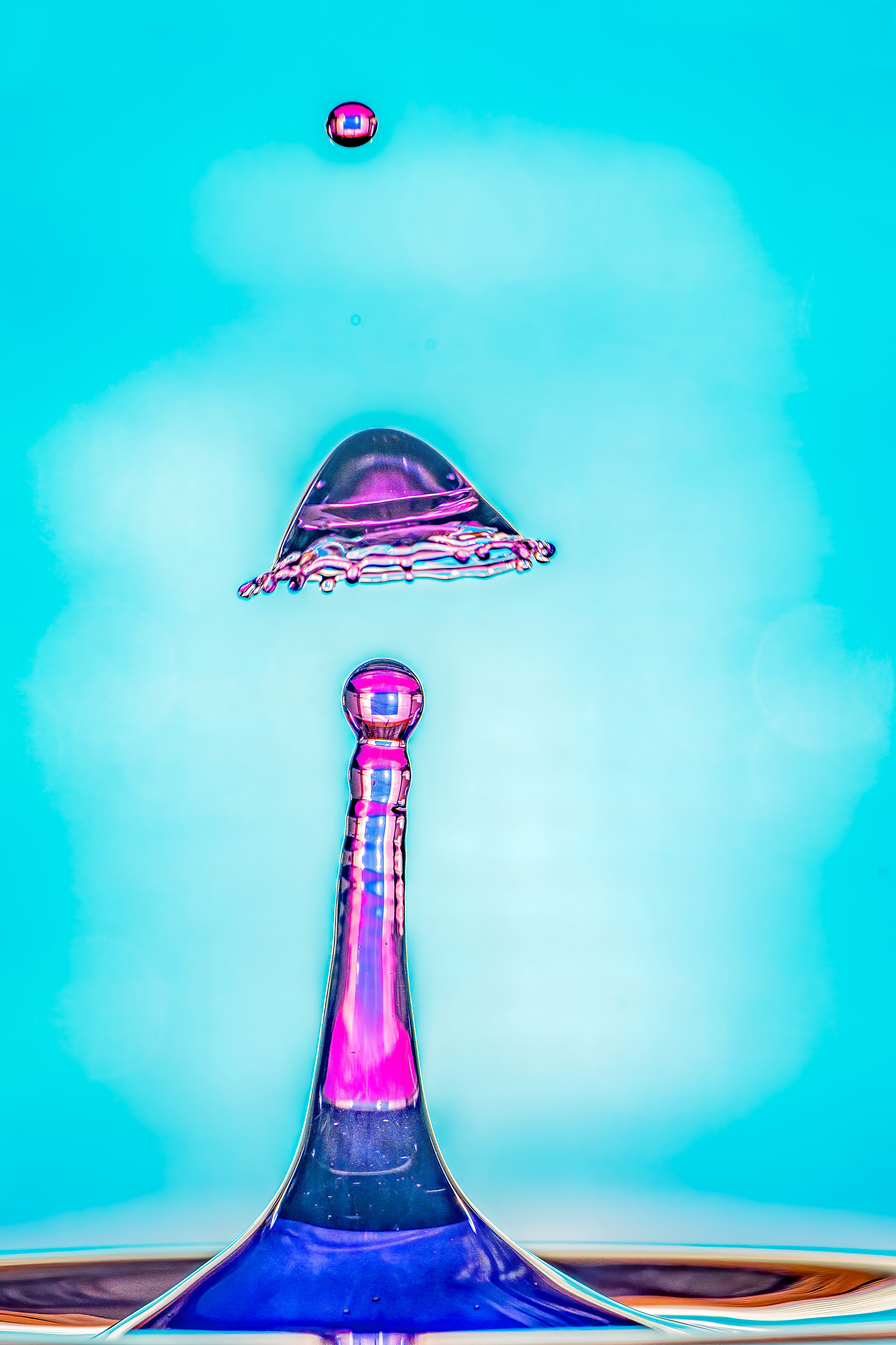 #2005 The Hat Collection 03