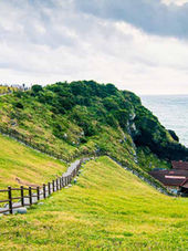 Jeju Island 5.jpeg