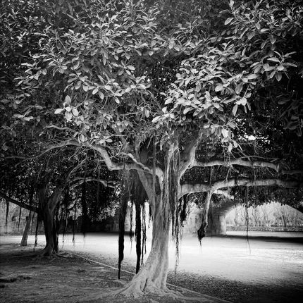 VLC TRE BW ©byREGO