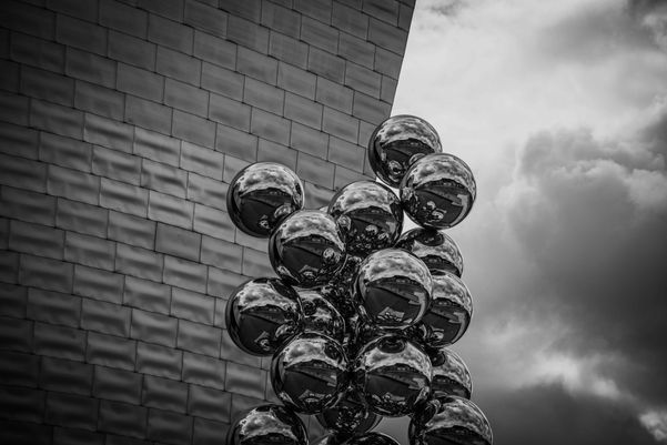 BIO 5 BW©byREGO 
