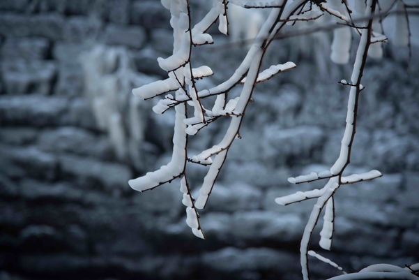 FROZEN GREN ©byREGO