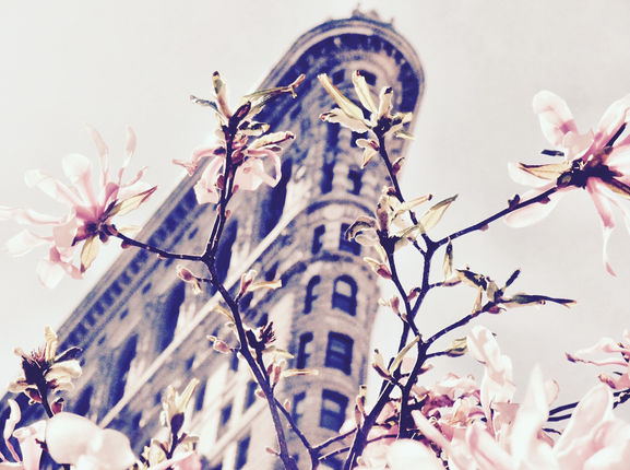 NYC FLAT B ©byREGO.jpg