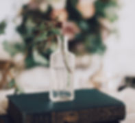 Plant in a Glass Bottle