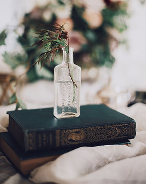 Plant in einer Glasflasche