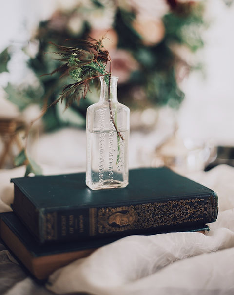 Plant in a Glass Bottle