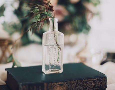 Planta en una botella de cristal