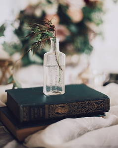 Plant in a Glass Bottle