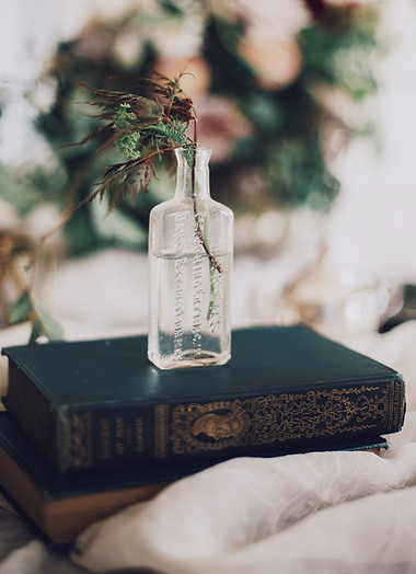 Plant in a Glass Bottle