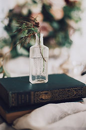 Plant in a Glass Bottle