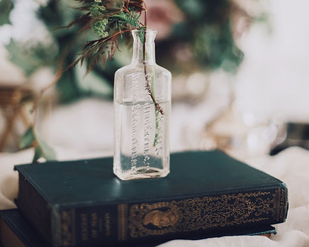Plante dans une bouteille en verre