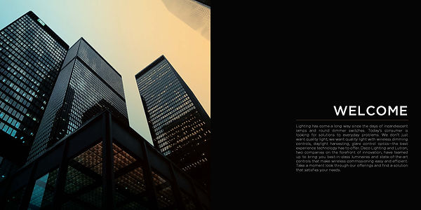 DecoLutron_DRAFT_V2 2.jpg