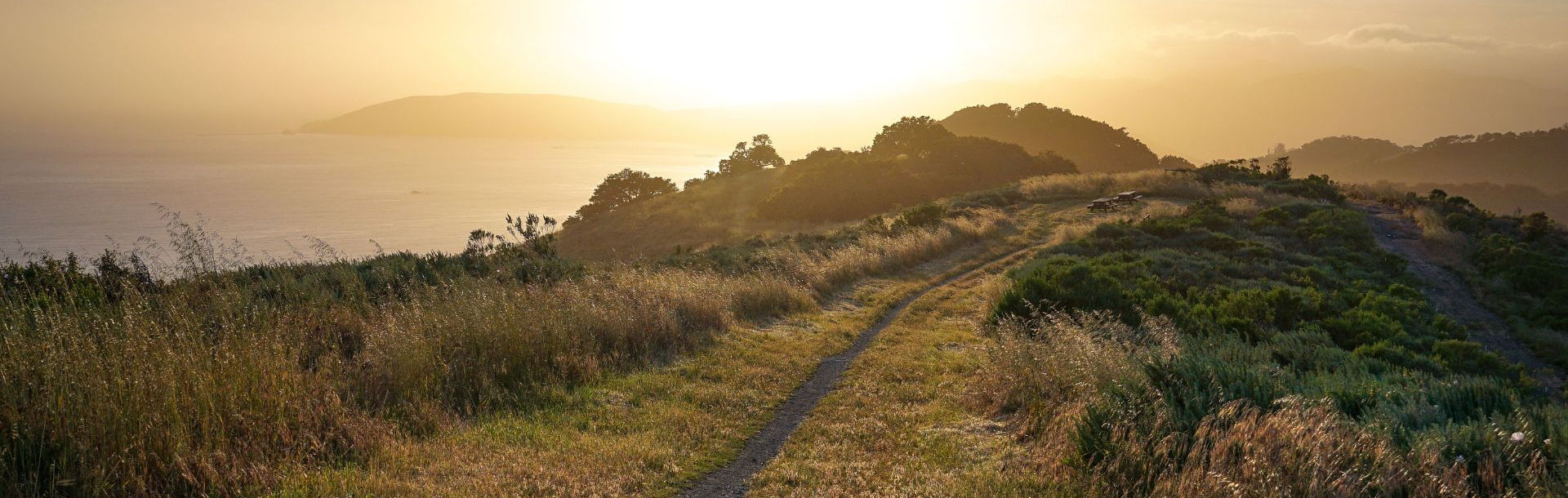 A dirt path overlooking a foggy ocean at dusk with bright sunlight