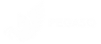 Logo Pegaso - BIANCO.png