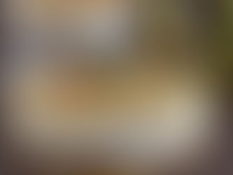 CHEESECAKE PERE E ZENZERO