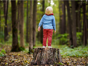C’è un tempo in cui ci fermiamo a guardare dentro di noi, spinti da un’intuizione silenziosa che ci invita a riflettere. È in quei momenti che sentiamo affiorare una domanda sottile, forse antica: dove stiamo andando? Cosa ci muove davvero?