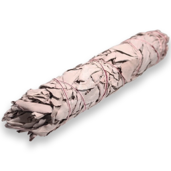 Large White Sage Smudge Stick for cleansing and purification