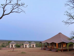 Revitalize Your Mind and Body at Wilderness Farms Holistic Wellness Retreat