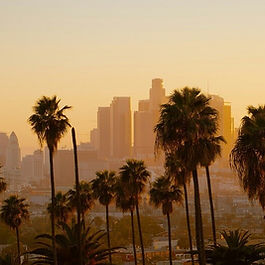 Experienced wedding planners in Los Angeles, selected for clarity, reliability, and a strong sense of structure. Chosen for their ability to navigate complex logistics and varied settings with calm oversight throughout the planning process. For celebrations that feel effortless, personal and shaped with intention.