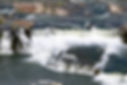 Great Falls.jpg
