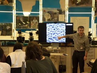 We're Hiring a Citizen Science Coordinator!!!