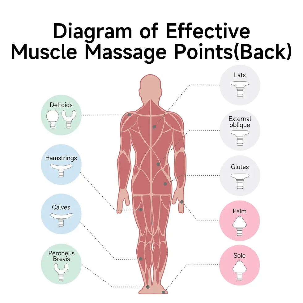 Miniatura: Massageador Muscular de Alta Performance