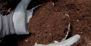 compost-still-life-concept.jpg