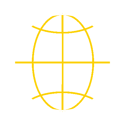 wired-outline-27-globe-hover-rotate-up-to-down.gif