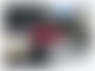 BERRO transport in Paris