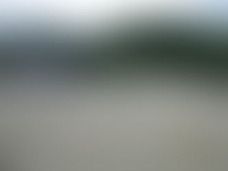 2025年5月10日 環境整備(草取り・草刈り)