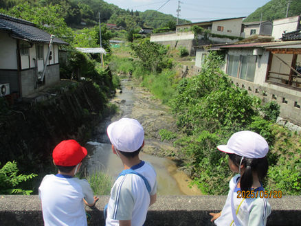 2025年5月20日 1・2年生まち探検