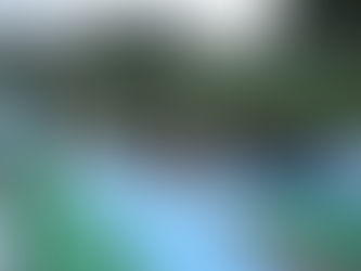 2025年6月13日 プール開き