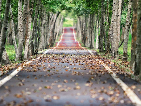 Der Weg zu dir